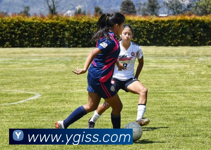 数据防护可视化